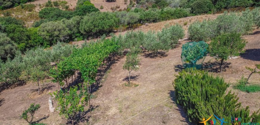 Country Home For Sale Loiri Porto San Paolo Sardinia Ref Granatoggju