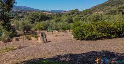 Country Home For Sale Loiri Porto San Paolo Sardinia Ref Granatoggju