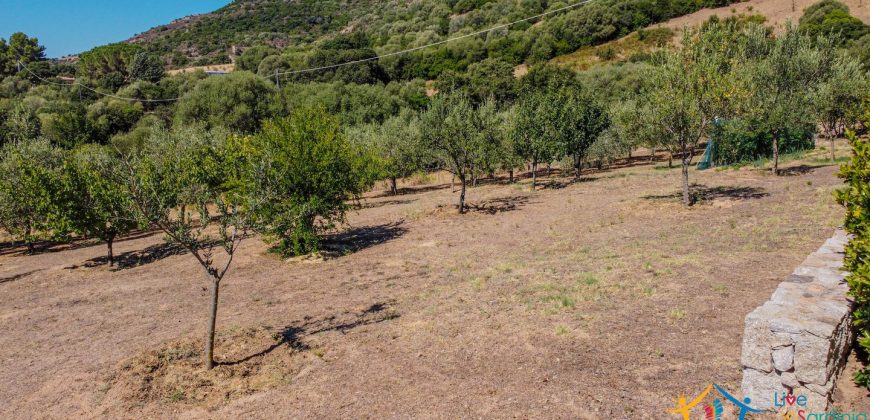 Country Home For Sale Loiri Porto San Paolo Sardinia Ref Granatoggju