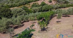 Country Home For Sale Loiri Porto San Paolo Sardinia Ref Granatoggju