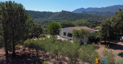 Country Home For Sale Loiri Porto San Paolo Sardinia Ref Granatoggju