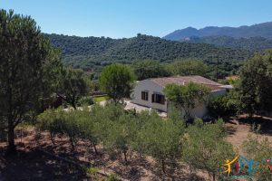 Country Home For Sale Loiri Porto San Paolo Sardinia Ref Granatoggju