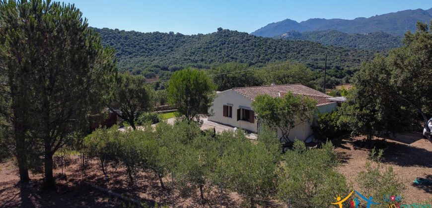 Country Home For Sale Loiri Porto San Paolo Sardinia Ref Granatoggju