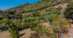 Country Home For Sale Loiri Porto San Paolo Sardinia Ref Granatoggju