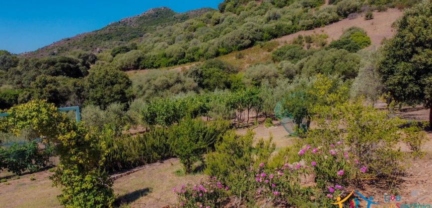 Country Home For Sale Loiri Porto San Paolo Sardinia Ref Granatoggju