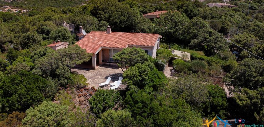 Home For Sale San Pantaleo Sardinia ref Elena