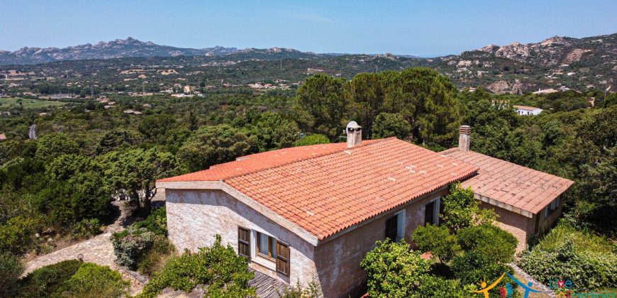 Home For Sale San Pantaleo Sardinia ref Elena