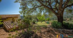 Country Home For Sale Loiri Porto San Paolo Sardinia Ref Granatoggju