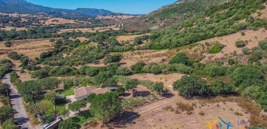 Country Home For Sale Loiri Porto San Paolo Sardinia Ref Granatoggju
