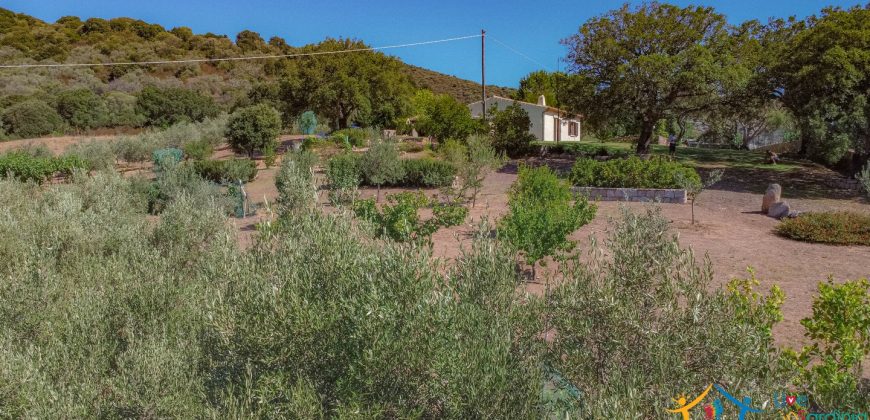 Country Home For Sale Loiri Porto San Paolo Sardinia Ref Granatoggju