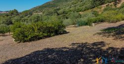 Country Home For Sale Loiri Porto San Paolo Sardinia Ref Granatoggju