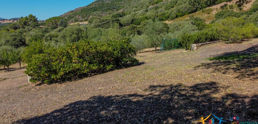 Country Home For Sale Loiri Porto San Paolo Sardinia Ref Granatoggju