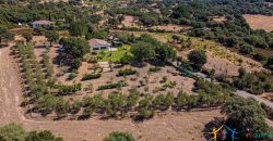 Country Home For Sale Loiri Porto San Paolo Sardinia Ref Granatoggju