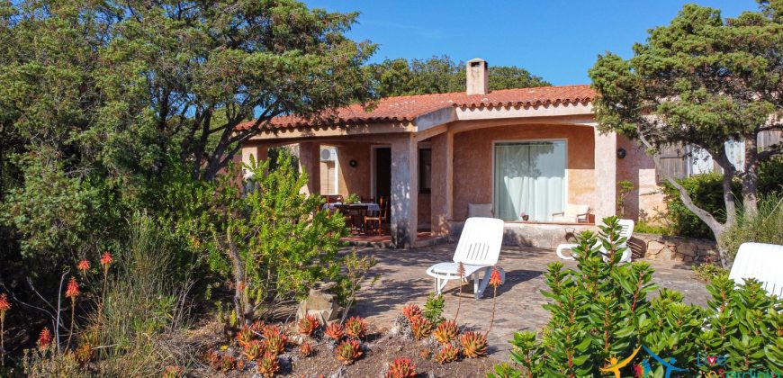 Home For Sale San Pantaleo Sardinia ref Elena