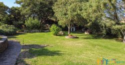 Home For Sale San Pantaleo Sardinia ref Elena