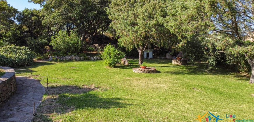 Home For Sale San Pantaleo Sardinia ref Elena