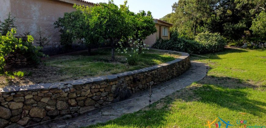 Home For Sale San Pantaleo Sardinia ref Elena