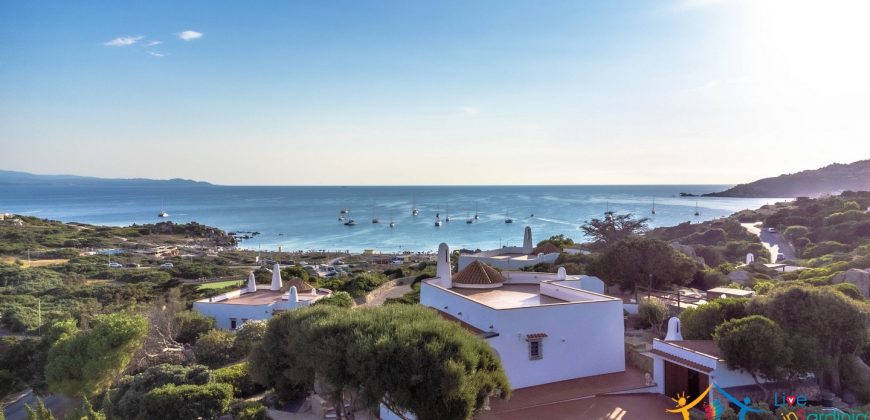 Homes For sale In Santa Teresa Gallura  Ref Villa Lory