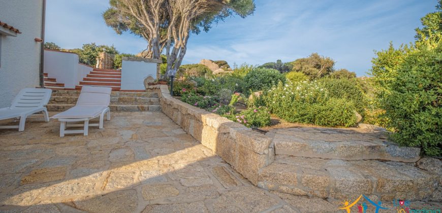 Homes For sale In Santa Teresa Gallura  Ref Villa Lory