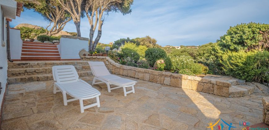 Homes For sale In Santa Teresa Gallura  Ref Villa Lory