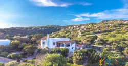 Homes For sale In Santa Teresa Gallura  Ref Villa Lory