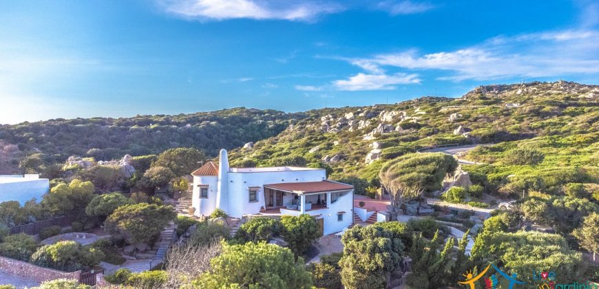 Homes For sale In Santa Teresa Gallura  Ref Villa Lory