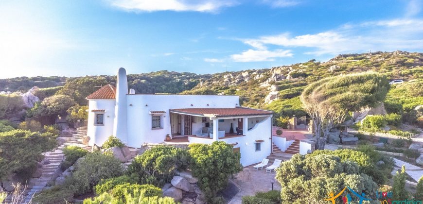 Homes For sale In Santa Teresa Gallura  Ref Villa Lory