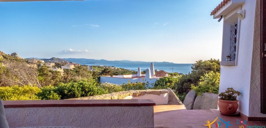 Homes For sale In Santa Teresa Gallura  Ref Villa Lory