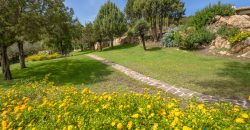 Country House For Sale San Pantaleo ref Monica