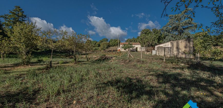 Stazzu For Sale In Gallura ref Rapicchia