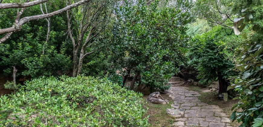 Villa For Sale La Celvia Porto Cervo Ref Ark