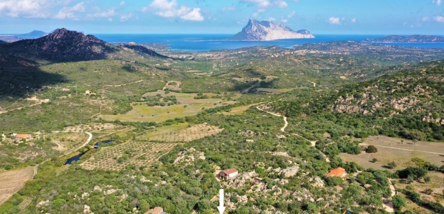 Stazzo For Sale San Teodoro Sardinia ref Graniti