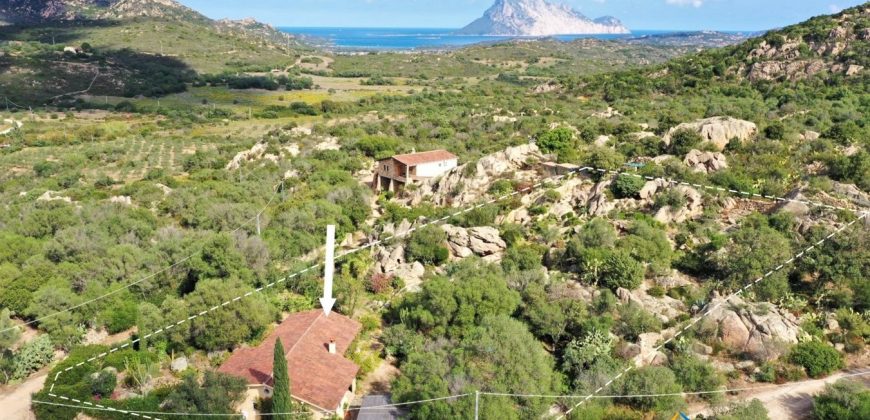 Stazzo For Sale San Teodoro Sardinia ref Graniti