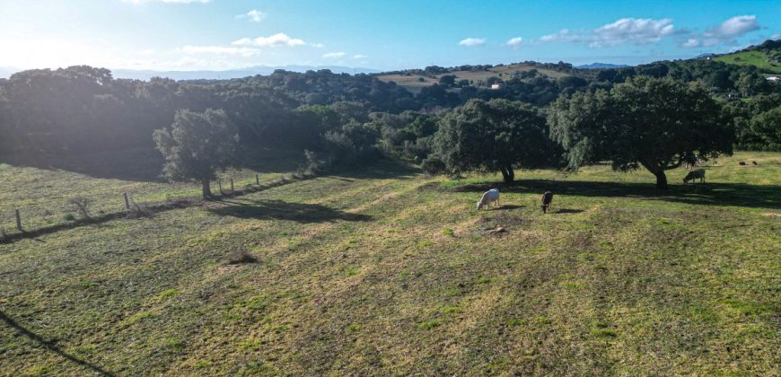 Buildable Land For Sale Olbia Sardinia ref Aust