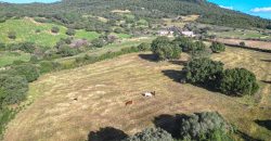 Buildable Land For Sale Olbia Sardinia ref Aust