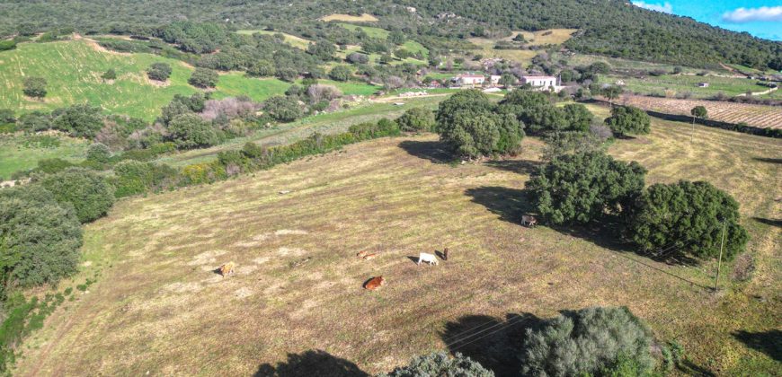 Buildable Land For Sale Olbia Sardinia ref Aust