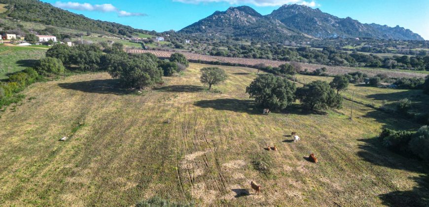 Buildable Land For Sale Olbia Sardinia ref Aust