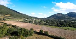 Buildable Land For Sale Olbia Sardinia ref Aust