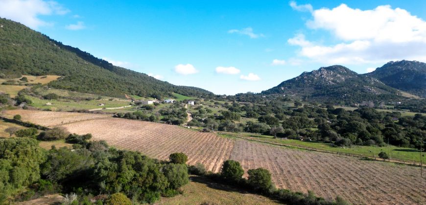 Buildable Land For Sale Olbia Sardinia ref Aust