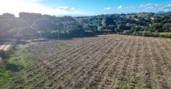 Buildable Land For Sale Olbia Sardinia ref Aust