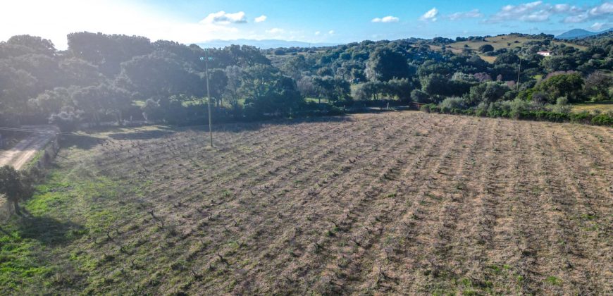 Buildable Land For Sale Olbia Sardinia ref Aust