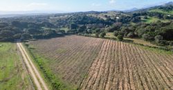 Buildable Land For Sale Olbia Sardinia ref Aust