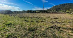 Buildable Land For Sale Olbia Sardinia ref Aust