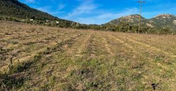 Buildable Land For Sale Olbia Sardinia ref Aust