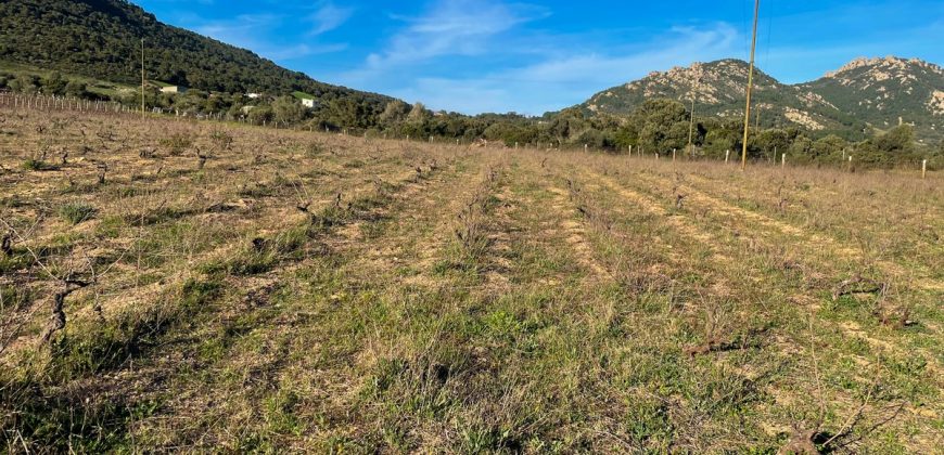 Buildable Land For Sale Olbia Sardinia ref Aust