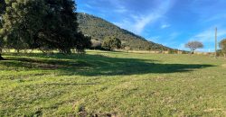 Buildable Land For Sale Olbia Sardinia ref Aust