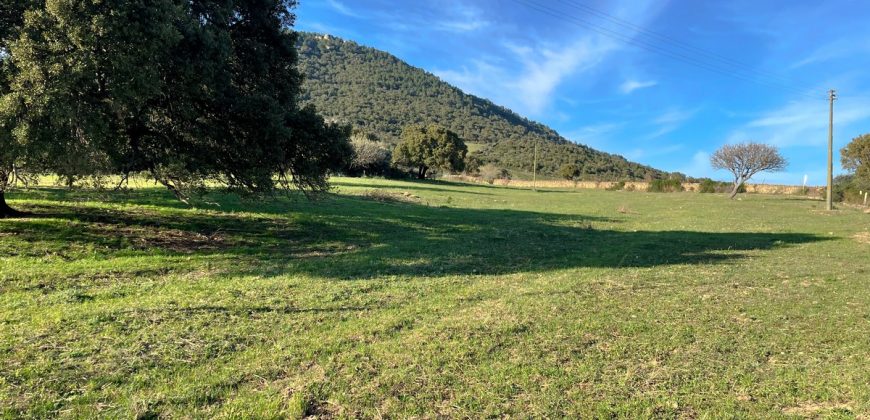 Buildable Land For Sale Olbia Sardinia ref Aust