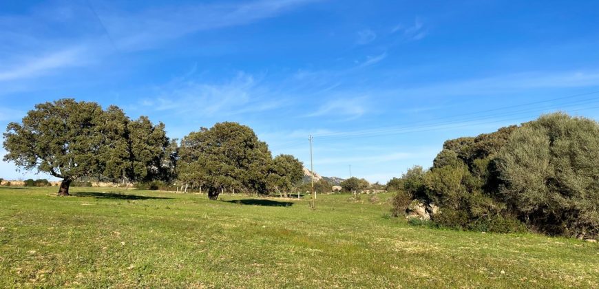 Buildable Land For Sale Olbia Sardinia ref Aust