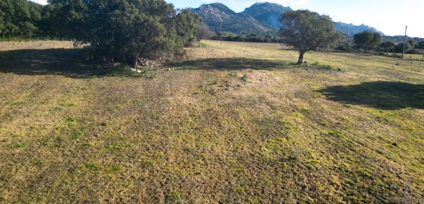 Buildable Land For Sale Olbia Sardinia ref Aust