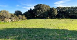 Buildable Land For Sale Olbia Sardinia ref Aust